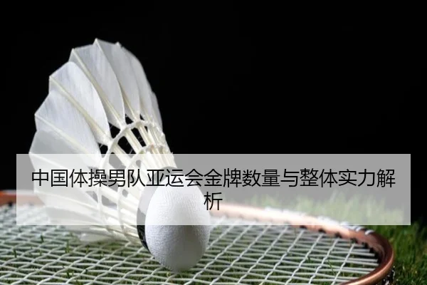 中国体操男队亚运会金牌数量与整体实力解析